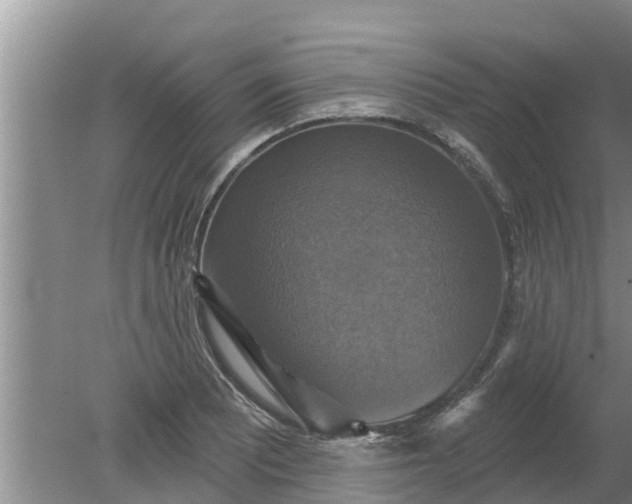 X0000080151081200612221943