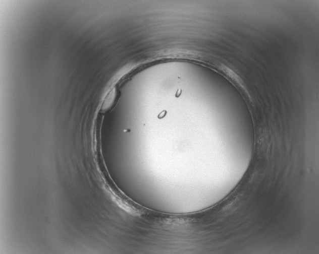 X0000080151082200612221943