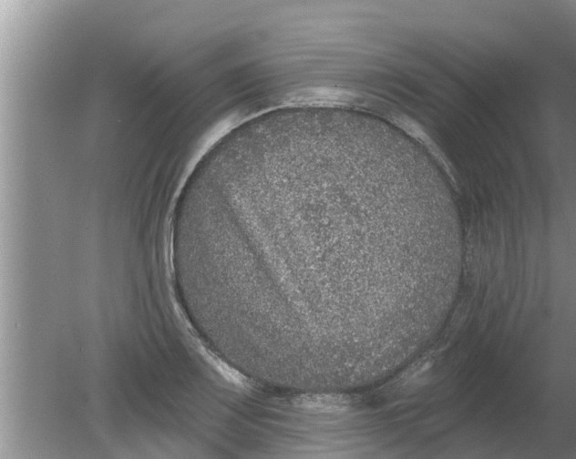 X0000080151083200612221943