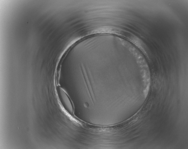 X0000080151084200612221943