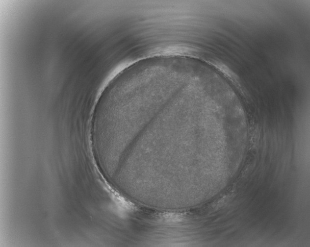 X0000080151086200612221943