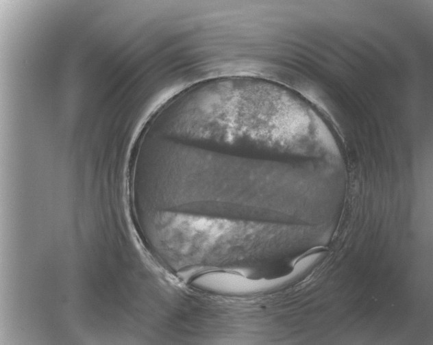 X0000080151088200612221943