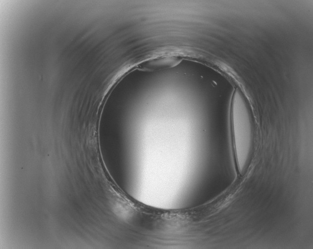 X0000080151089200612221943