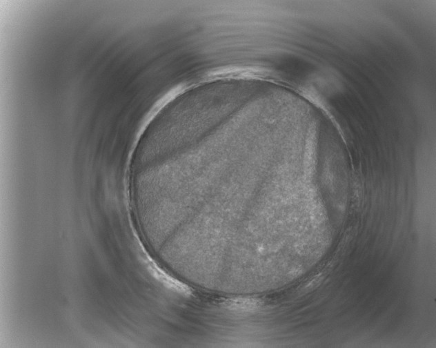 X0000080151090200612221943