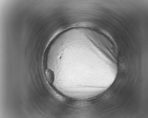 X0000080151091200612221943