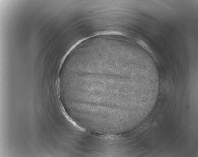 X0000080151092200612221943