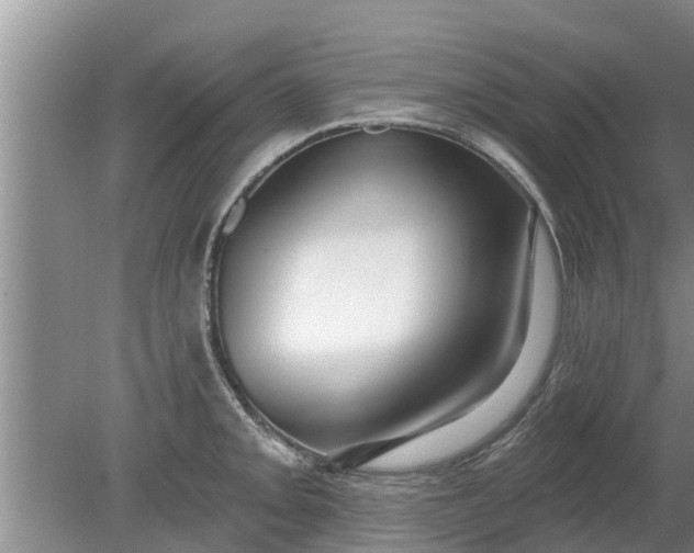 X0000080151093200612221943