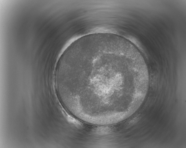 X0000080151094200612221943