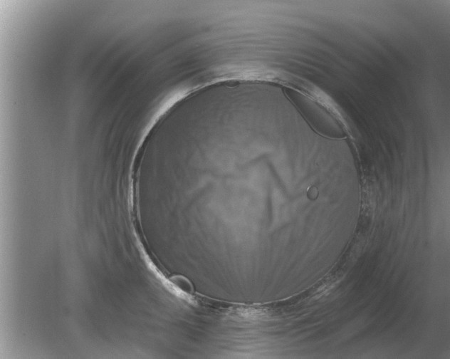 X0000080151095200612221943