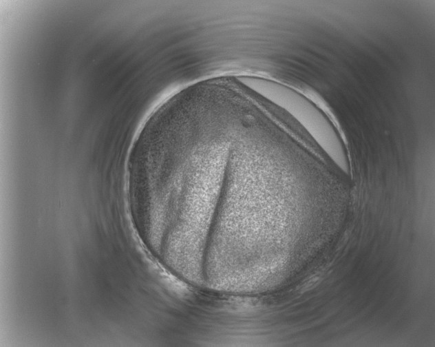 X0000080151096200612221943