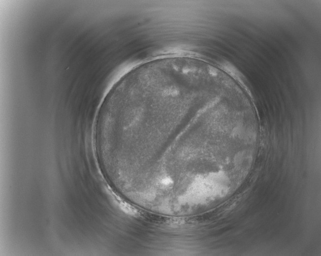 X0000080151098200612221942