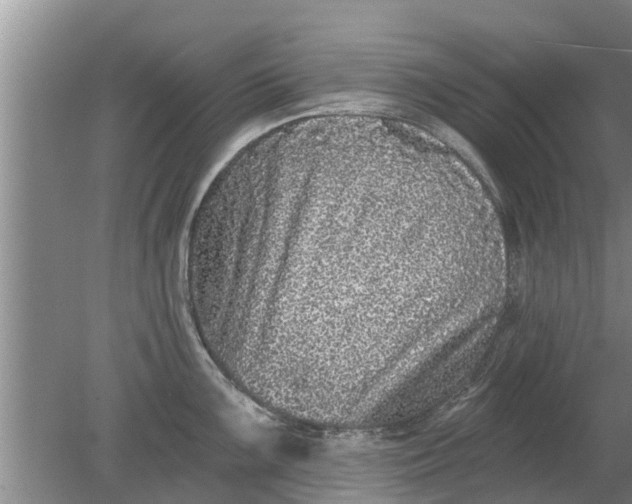 X0000080151099200612221942