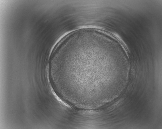 X0000080151100200612221942