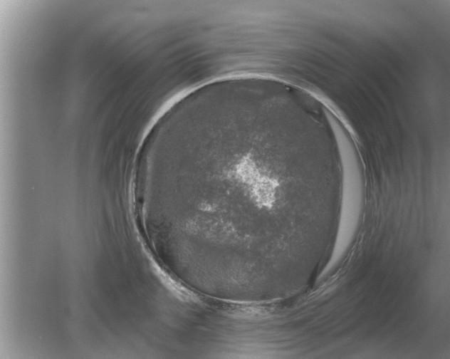 X0000080151101200612221942