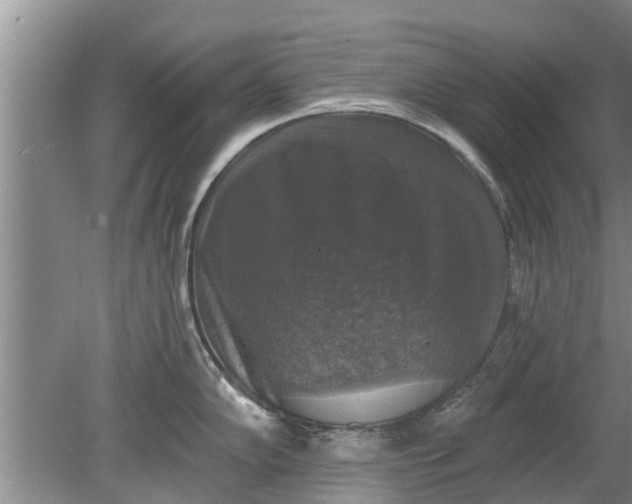 X0000080151102200612221942