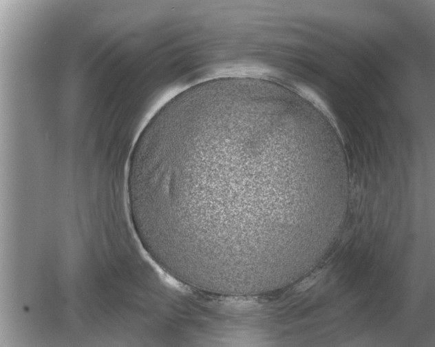 X0000080151103200612221942