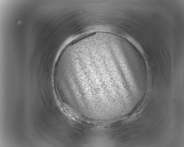 X0000080151104200612221942