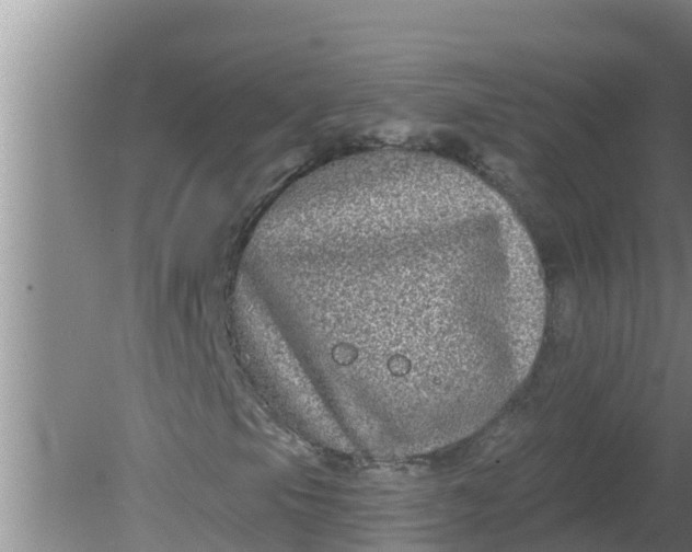 X0000080151105200612221942