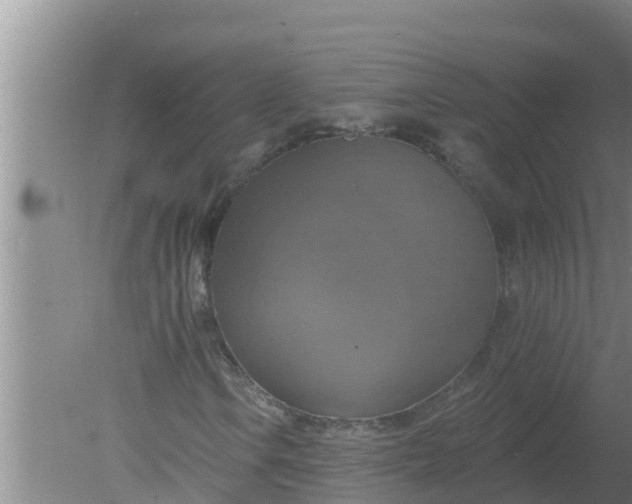 X0000080151106200612221942