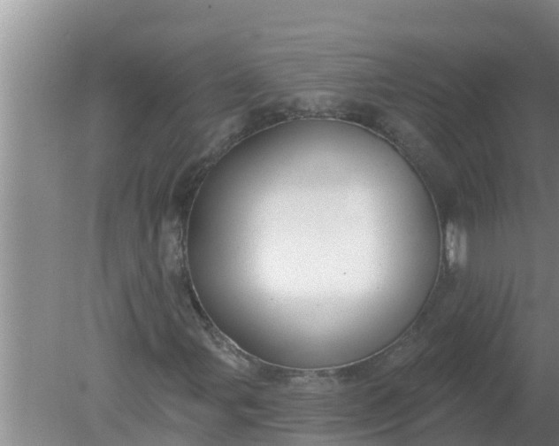 X0000080151107200612221942