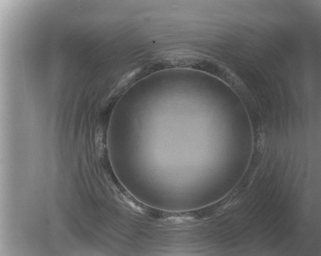 X0000080151108200612221942