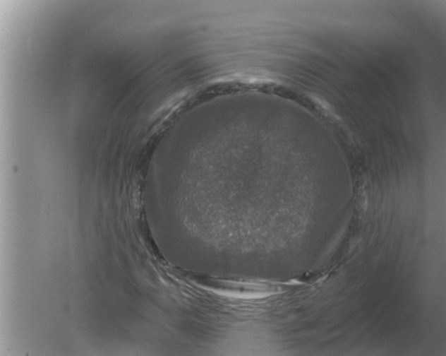 X0000080151110200612221942