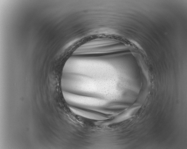 X0000080151112200612221942