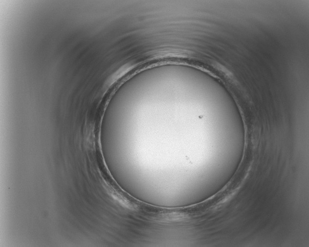 X0000080151113200612221942