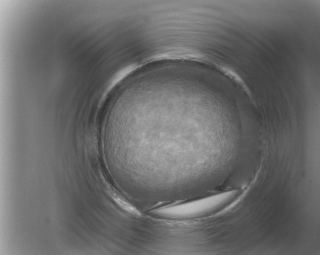 X0000080151114200612221942