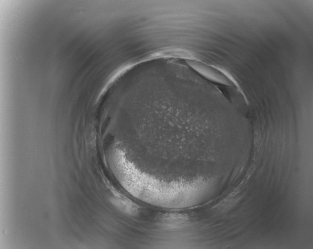 X0000080151115200612221942