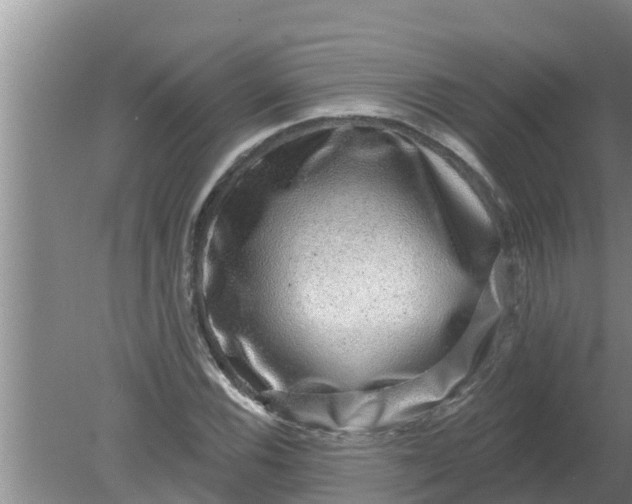 X0000080151116200612221942