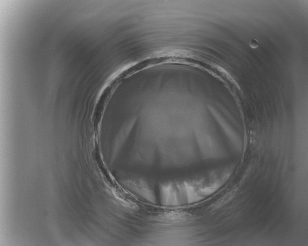 X0000080151117200612221942