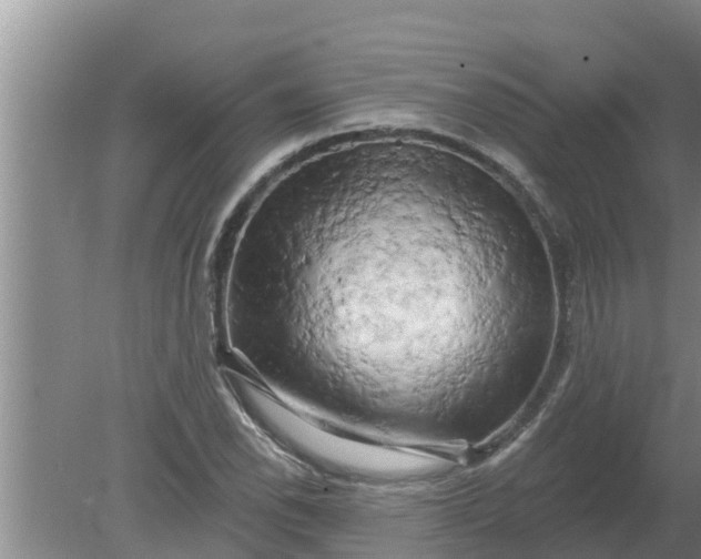 X0000080151118200612221942