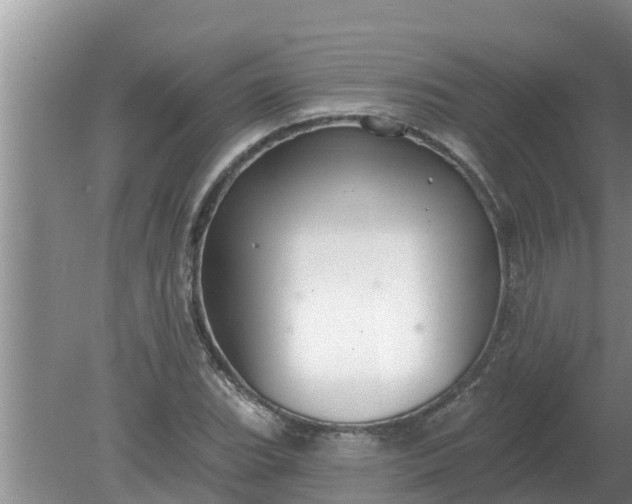 X0000080151119200612221942