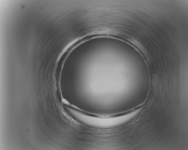 X0000080151120200612221942