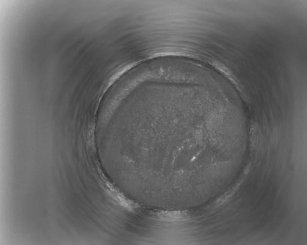 X0000080151121200612221942