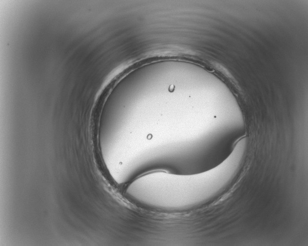 X0000080151122200612221942