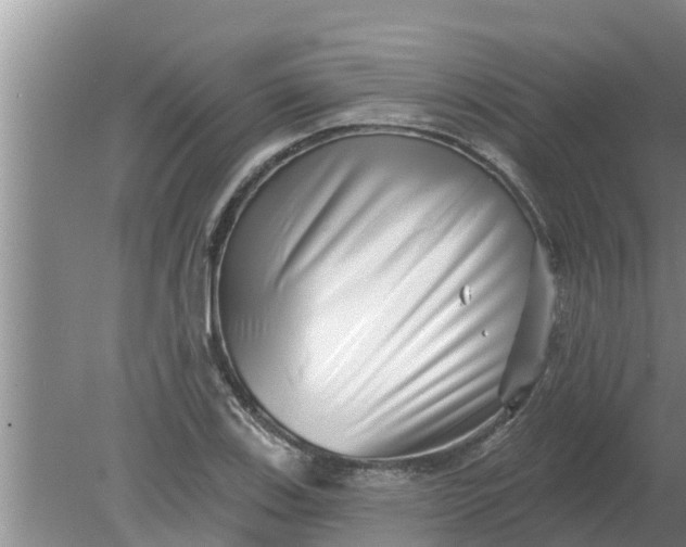 X0000080151123200612221942