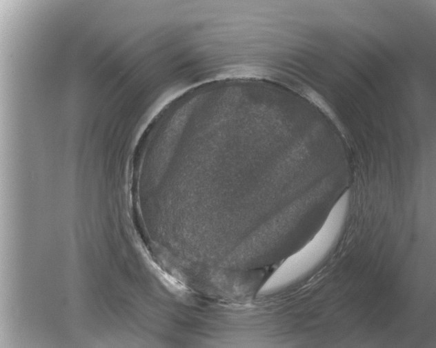 X0000080151124200612221942