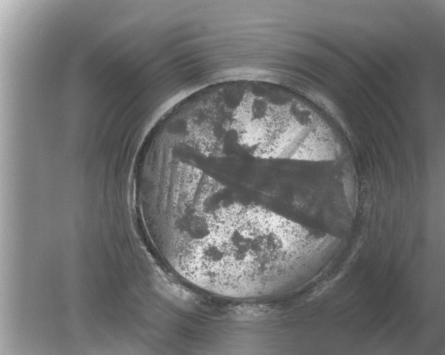 X0000080151125200612221942