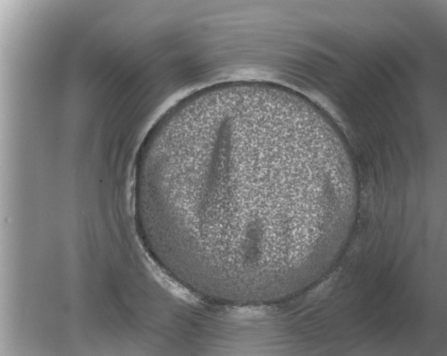 X0000080151126200612221942