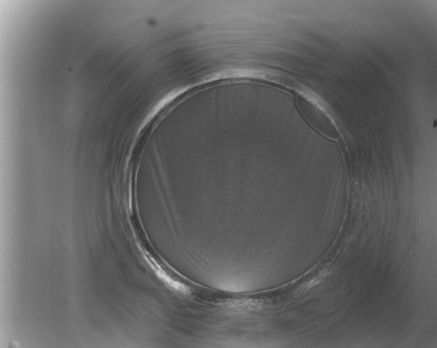 X0000080151127200612221942