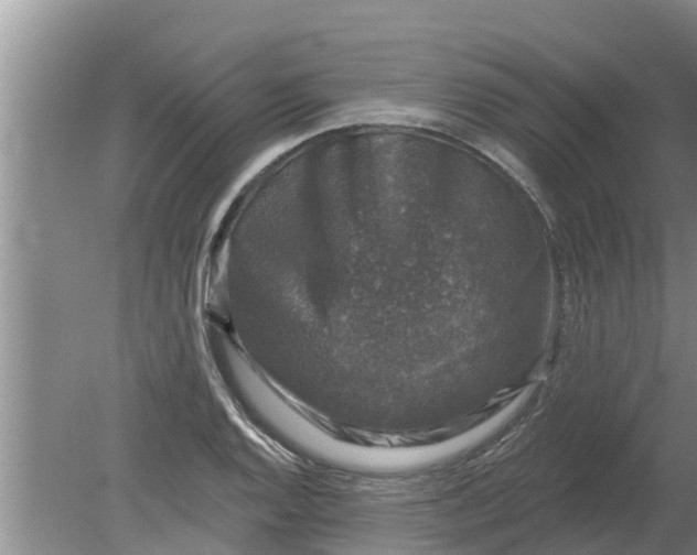 X0000080151128200612221942