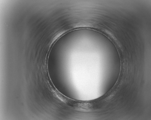 X0000080151129200612221942