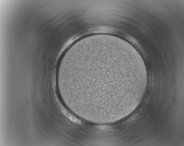 X0000080151130200612221942