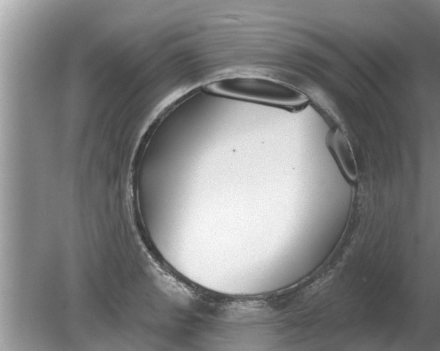 X0000080151133200612221942