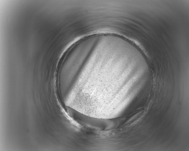 X0000080151134200612221942