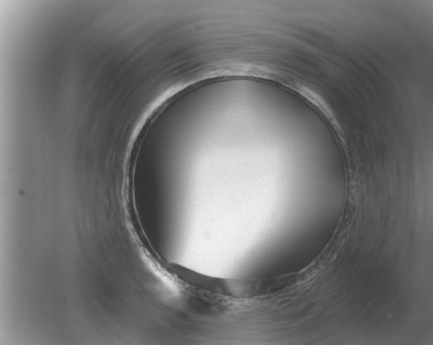 X0000080151136200612221942