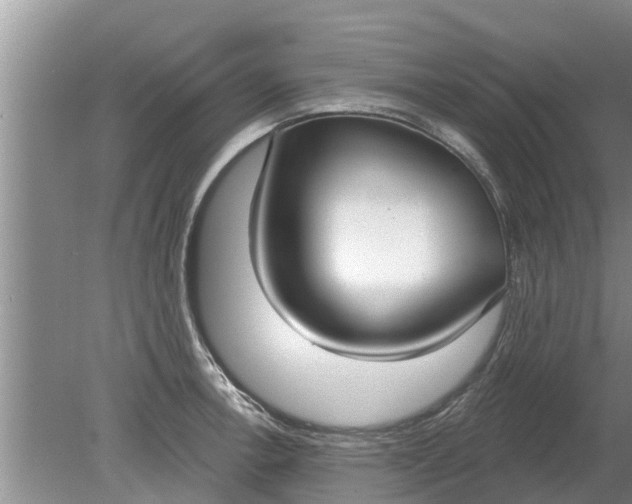 X0000080151138200612221942