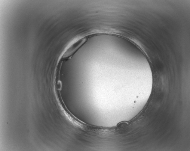 X0000080151139200612221942